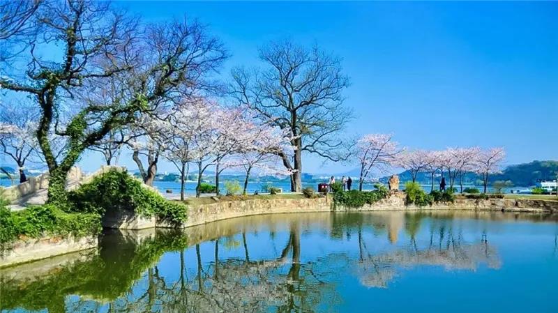 唯美家乡美景