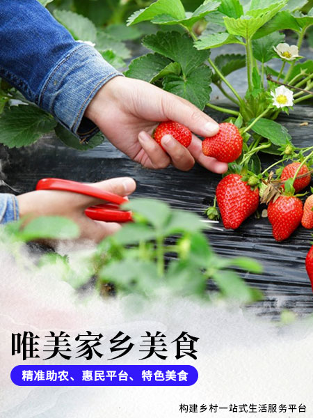 唯美家乡美食3-3.jpg