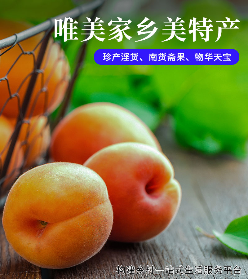 唯美家乡-美特产8-1.jpg